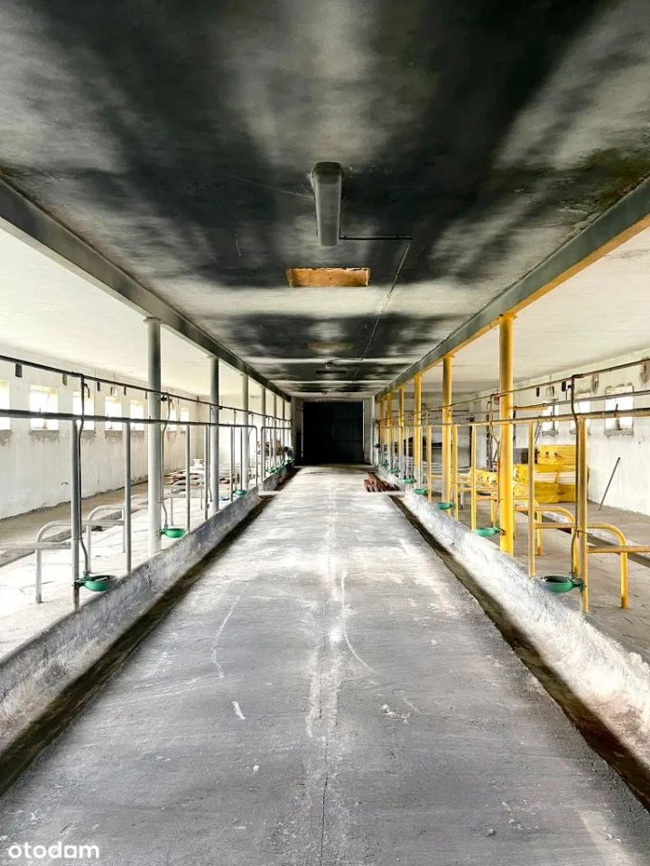 Hala/magazyn Rudniki. Zdjęcie 7