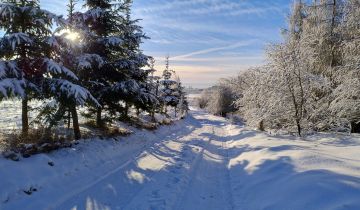 Działka rolno-budowlana Studzianka