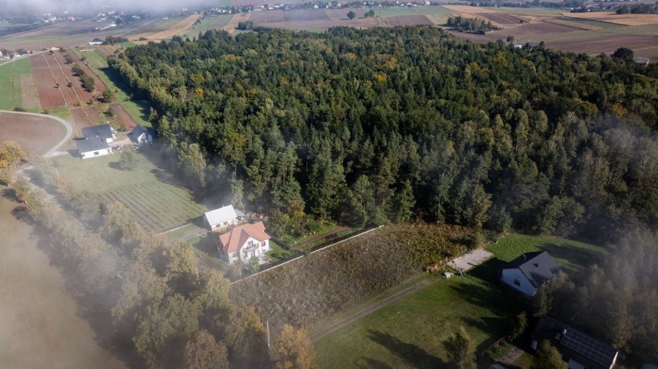 Działka budowlana Oblęgorek. Zdjęcie 3