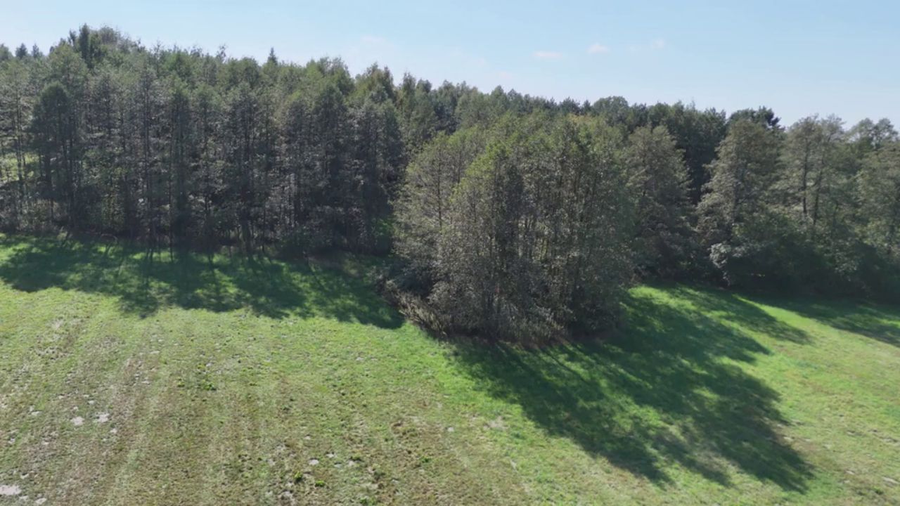 Działka rolna Celinów, ul. Różana. Zdjęcie 9