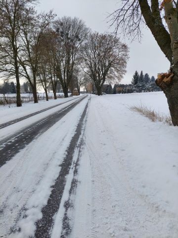Działka siedliskowa Strzelce. Zdjęcie 9