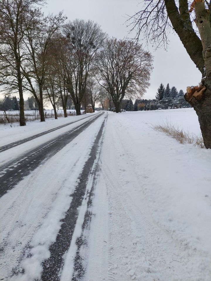 Działka siedliskowa Strzelce, Dulębów. Zdjęcie 9