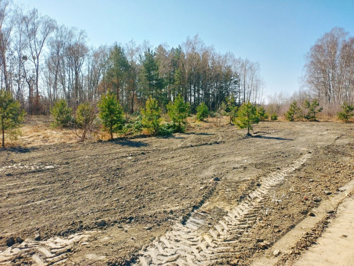 Działka budowlana Stara Wieś. Zdjęcie 7