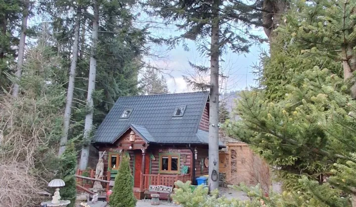 dom wolnostojący Zakopane Centrum