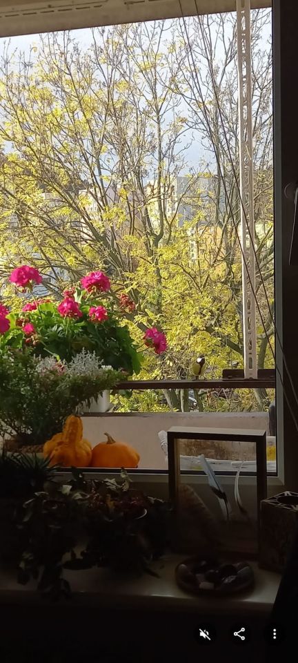 Mieszkanie 2-pokojowe Gdynia Leszczynki, Młyńska. Zdjęcie 6