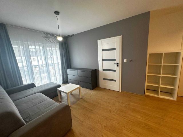 Mieszkanie 2-pokojowe Plewiska. Zdjęcie 1