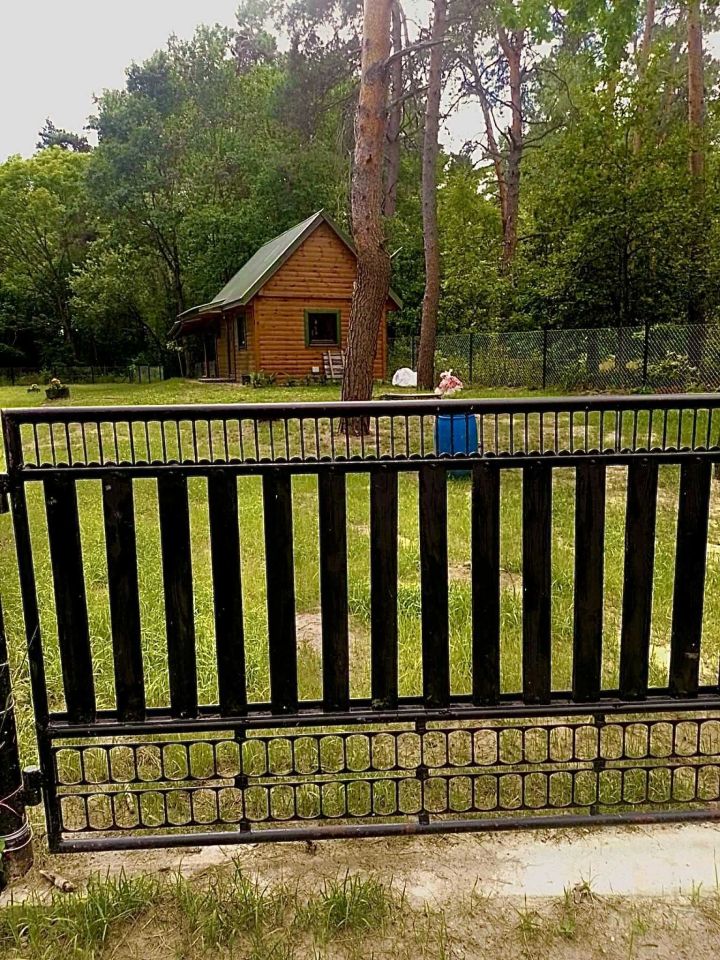 Działka leśna Pościsze. Zdjęcie 4