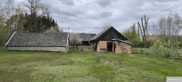 Działka siedliskowa Koszele. Zdjęcie 1