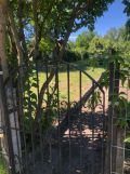 Działka rod Gorzów Wielkopolski, ul. Żwirowa. Zdjęcie 2