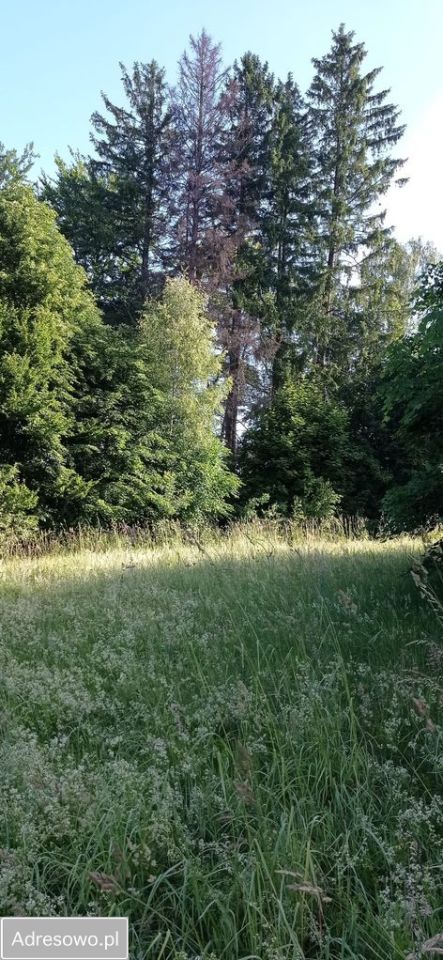Działka budowlana Cetuń. Zdjęcie 12