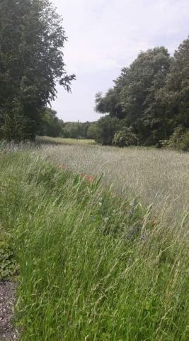 Działka budowlana Grudziądz Mniszek, ul. Wojciecha Kossaka. Zdjęcie 1