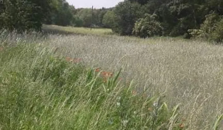 Działka budowlana Grudziądz Mniszek, ul. Wojciecha Kossaka