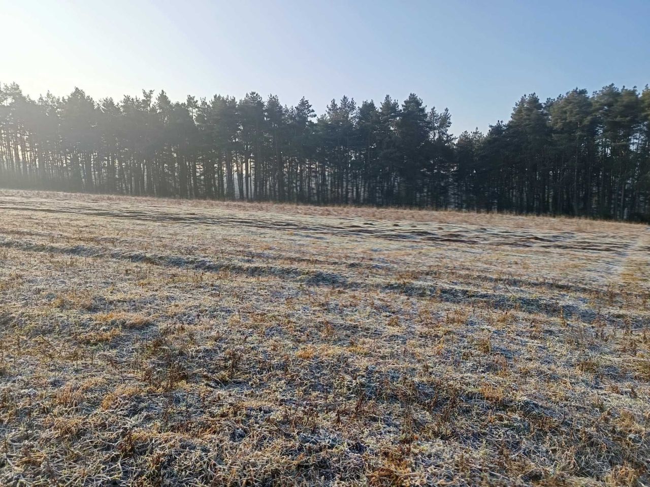 Działka budowlana Siemyśl. Zdjęcie 2