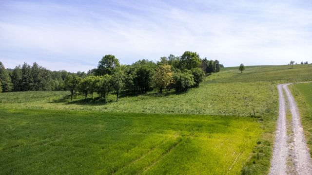 Działka Nowy Borek. Zdjęcie 9