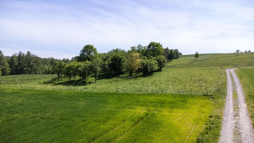 Działka Nowy Borek. Zdjęcie 9