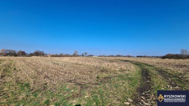 Działka budowlana Zamość Majdan. Zdjęcie 5