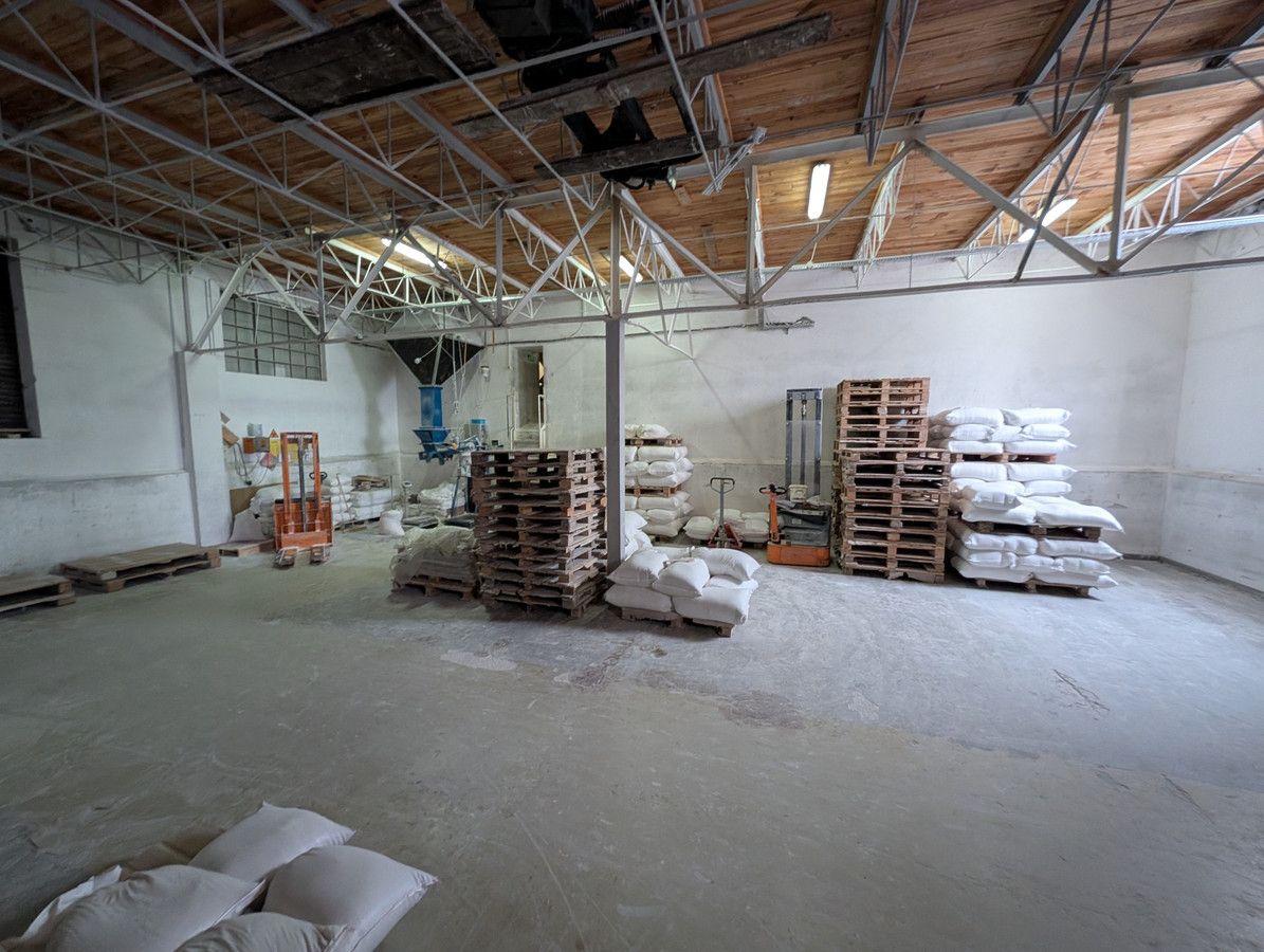 Działka inwestycyjna Kruszynek. Zdjęcie 15