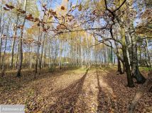 Działka budowlana Cholewy. Zdjęcie 2