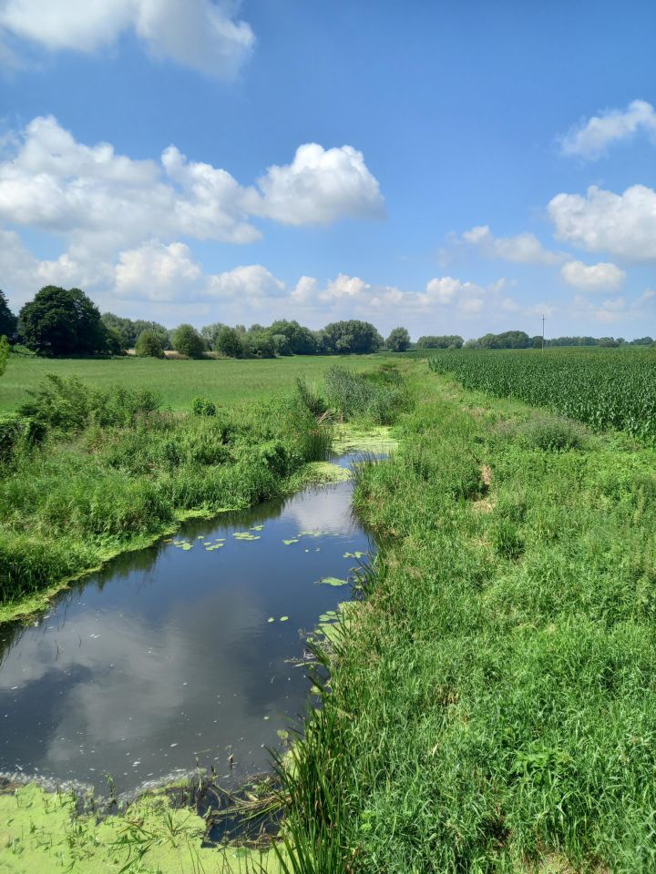Działka rolno-budowlana Galomin. Zdjęcie 5