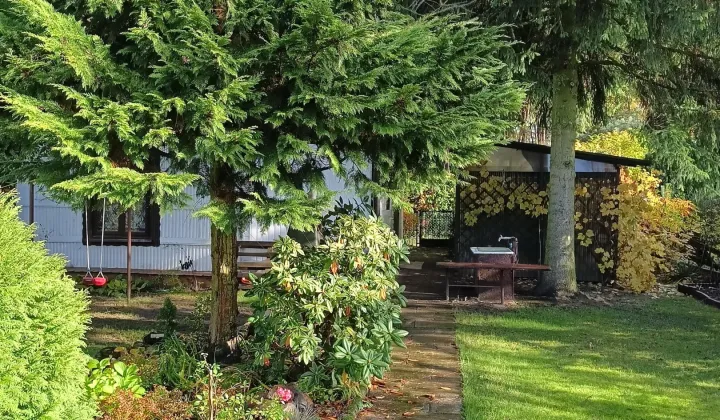 Działka rod Romanów, Romanów 18A