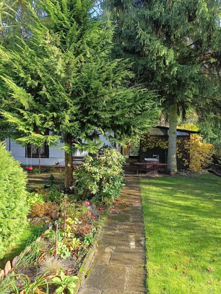 Działka rod Romanów, Romanów 18A. Zdjęcie 1