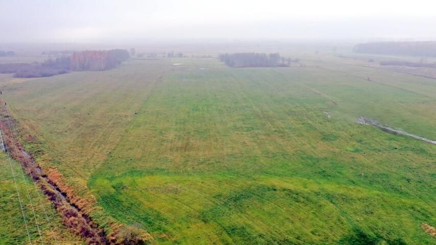 Działka rolna Siedliska. Zdjęcie 4