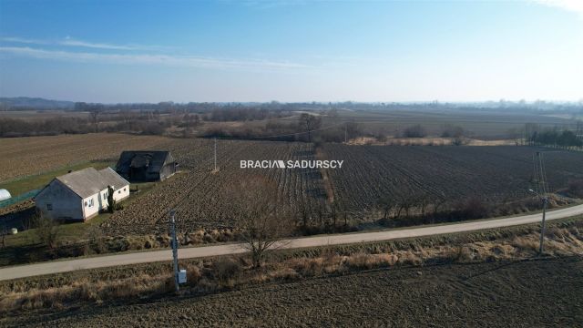 Działka siedliskowa Popędzyna. Zdjęcie 12
