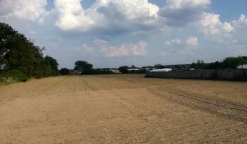 Działka rolna Krosno Odrzańskie, ul. Gubińska