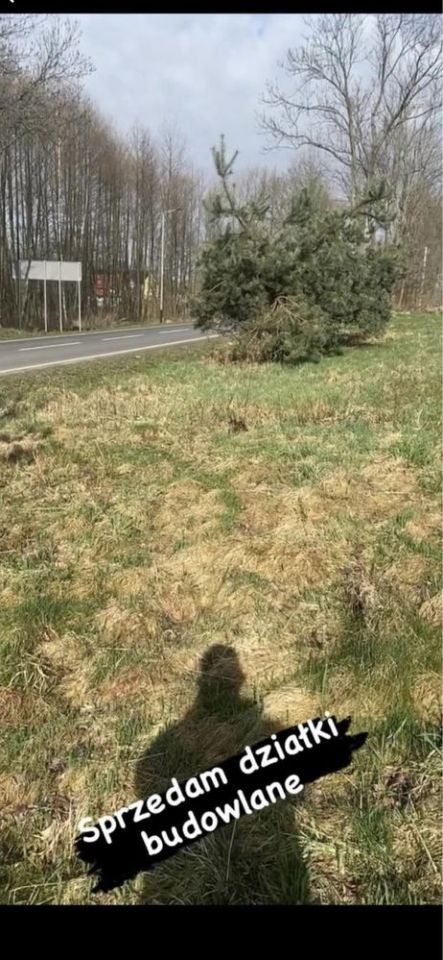 Działka budowlana Strzelno. Zdjęcie 2