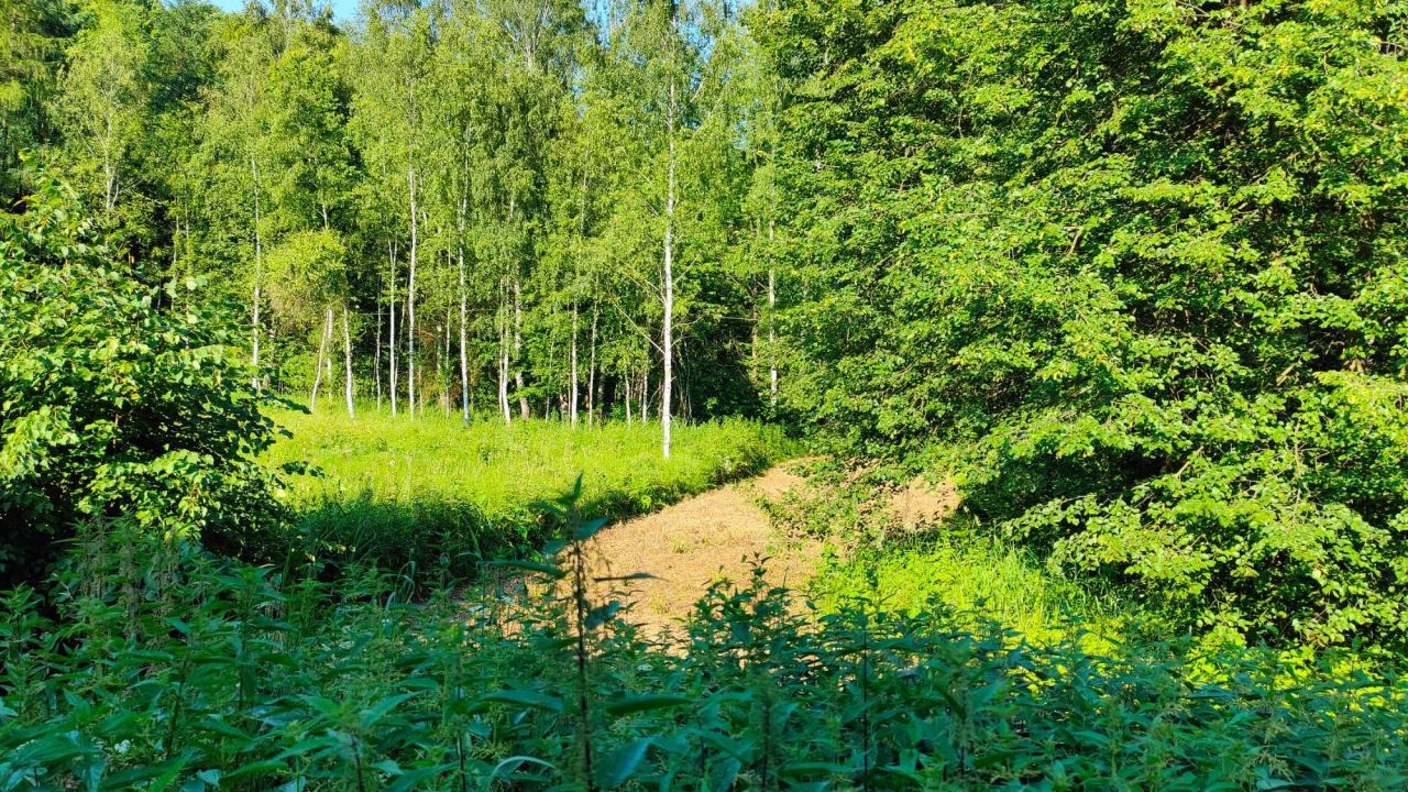 dom wolnostojący Górki. Zdjęcie 3