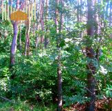 Działka budowlana Sulejówek Szkopówka