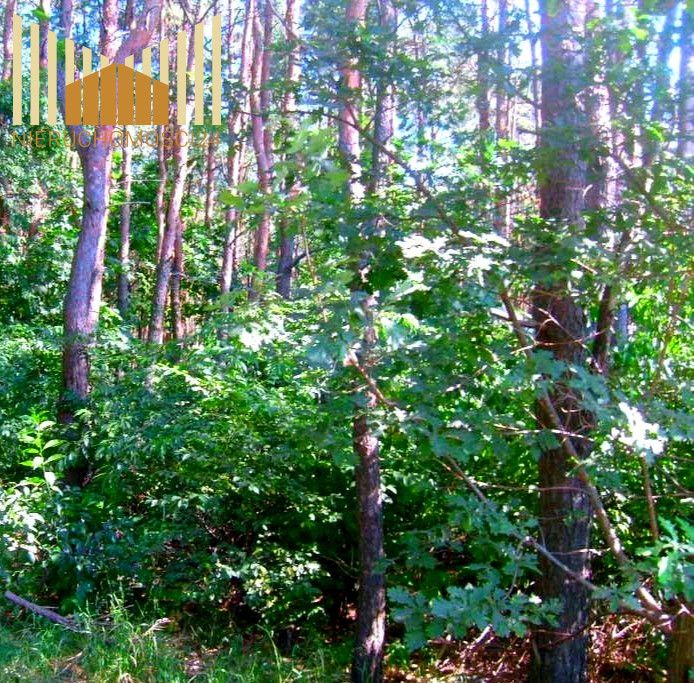 Działka budowlana Sulejówek Szkopówka