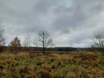 siedlisko Golczewo. Zdjęcie 1