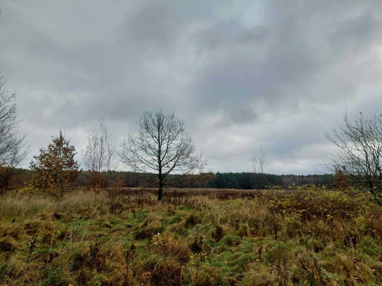 siedlisko Golczewo. Zdjęcie 2