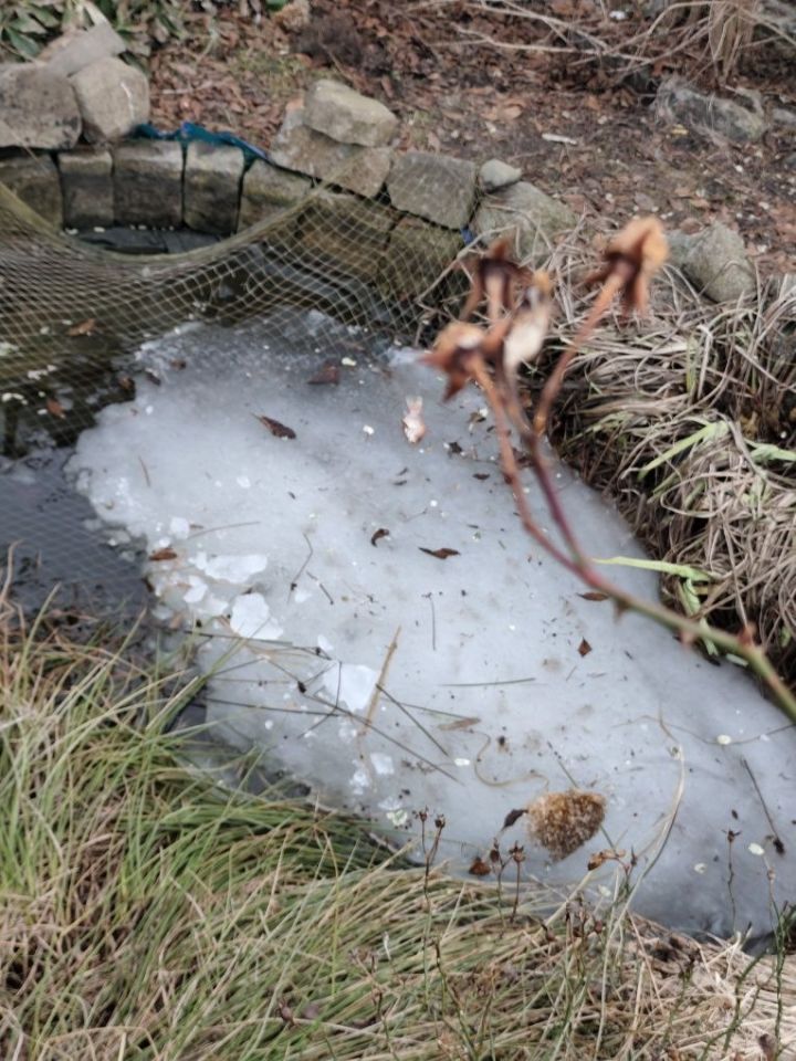 Działka rod Słupsk. Zdjęcie 5