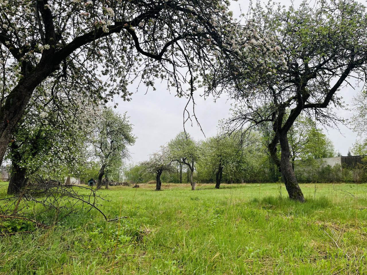 Działka budowlana Janówka. Zdjęcie 2