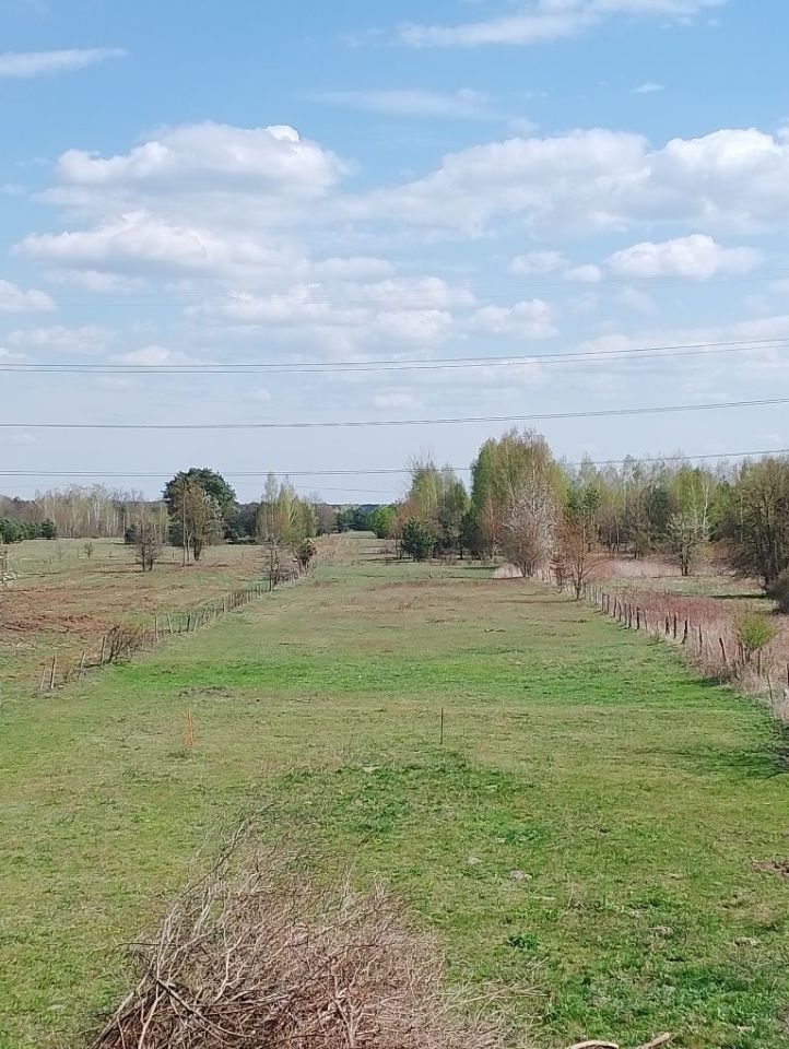 Działka budowlana Aleksandrów, ul. Królewska. Zdjęcie 2