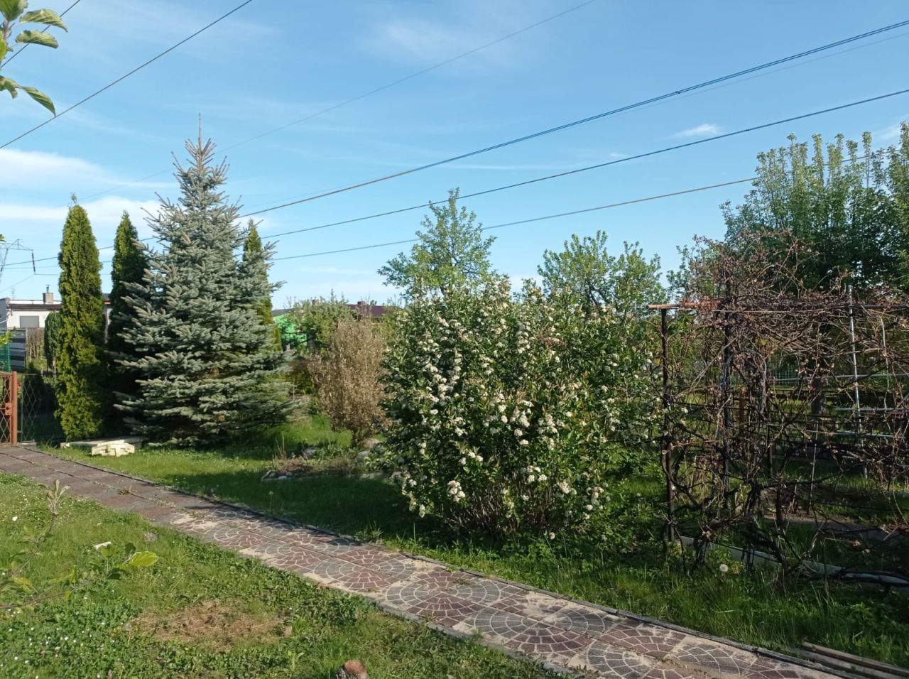 Działka rod Jaworzno Podwale, ul. Podwale. Zdjęcie 4