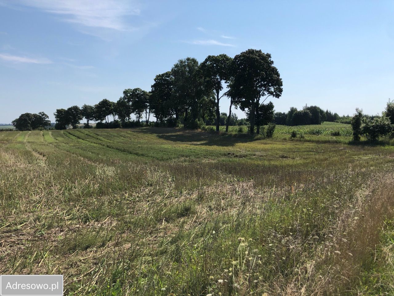 Działka rolna Lekity. Zdjęcie 10