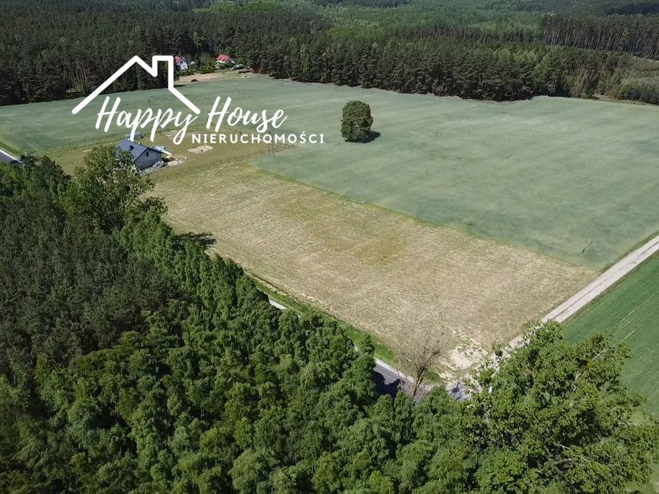 Działka budowlana Witkowo. Zdjęcie 14