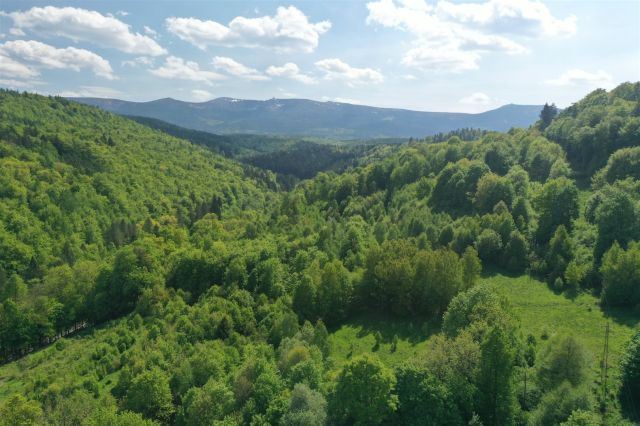 Działka budowlana Piechowice. Zdjęcie 11