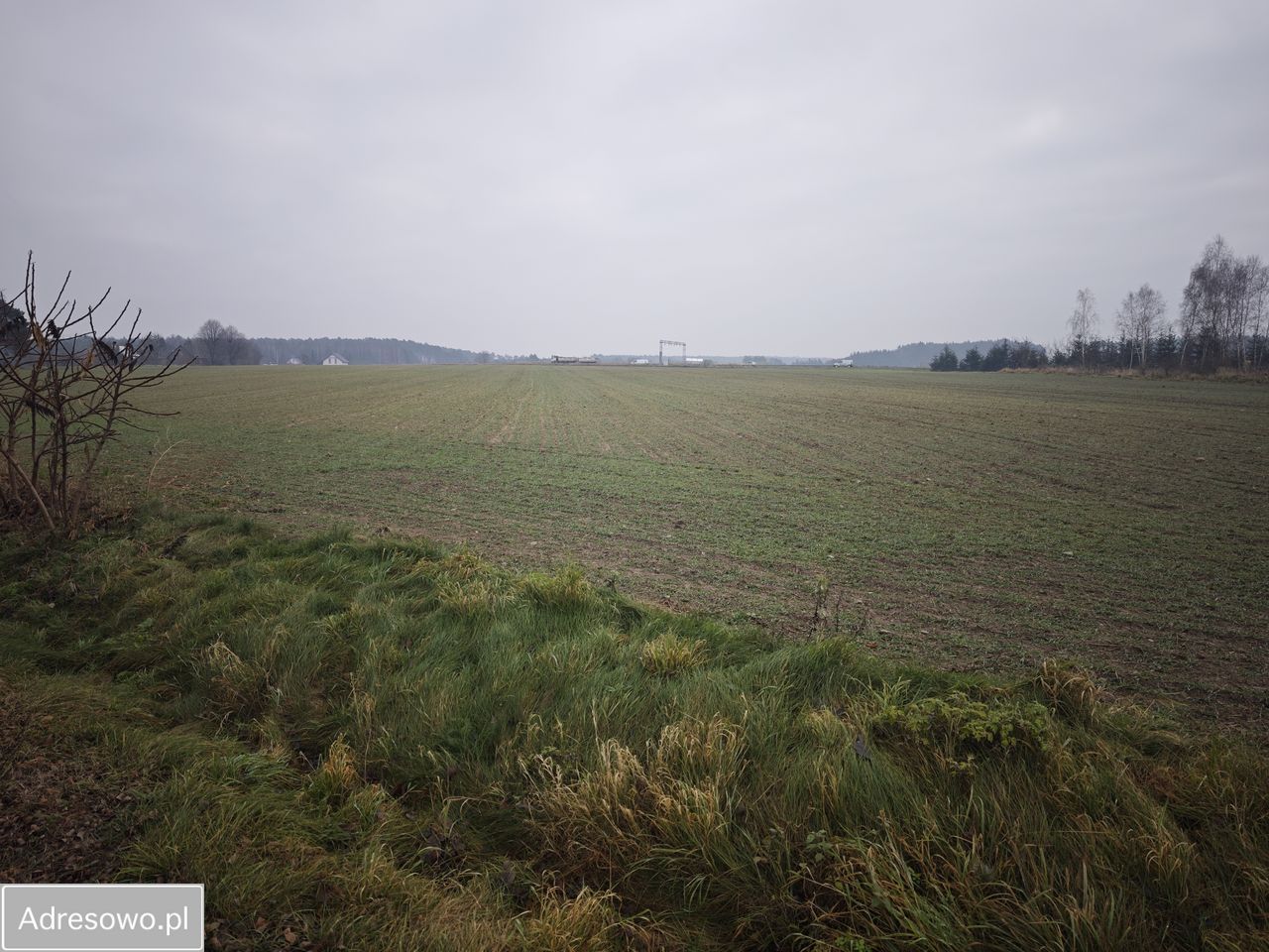 Działka inwestycyjna Grońsko. Zdjęcie 5