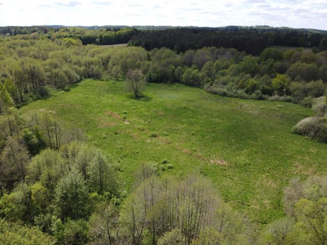 Działka rolna Krąg. Zdjęcie 1