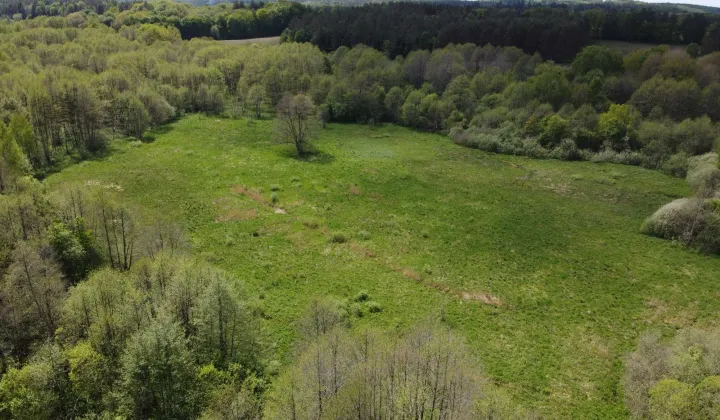 Działka rolna Krąg