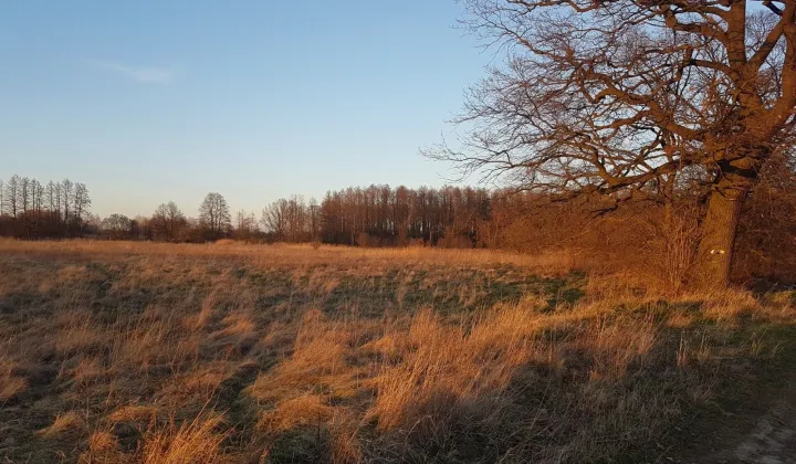 Działka inwestycyjna Lutynia