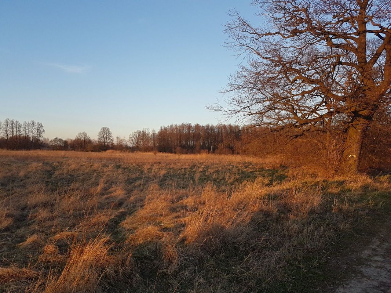 Działka inwestycyjna Lutynia. Zdjęcie 1