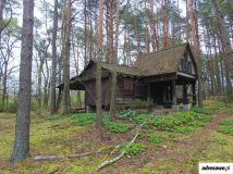 Działka leśna Arciechów. Zdjęcie 2