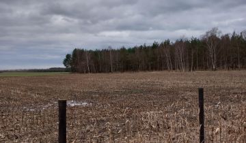 Działka siedliskowa Bychowo