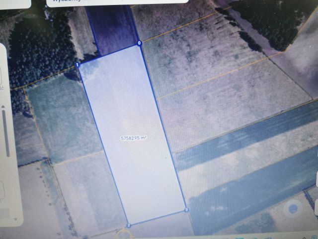 Działka leśna Białusny Lasek. Zdjęcie 1