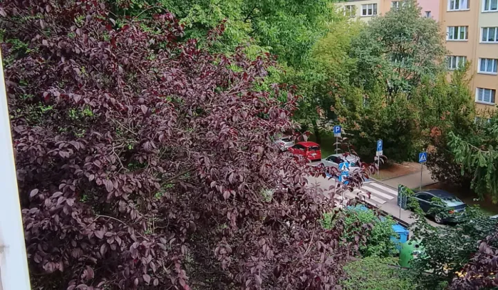 Mieszkanie 3-pokojowe Lublin LSM, ul. Kaliska